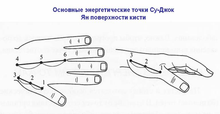 Точки источники. Базисные энергетические точки по Су-Джок. Су Джок прогревание по точкам.